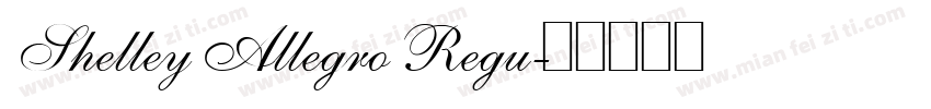 Shelley Allegro Regu字体转换